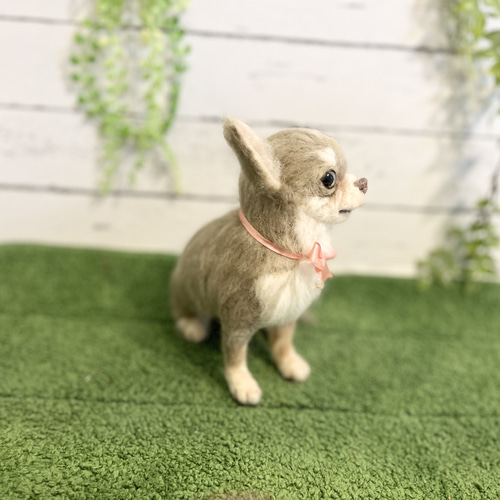 世界でたった一つ♡大切な家族をずっとそばに♡チワワ オーダー