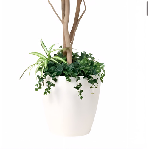 光触媒 人工観葉植物 フィカスベンジャミン（植栽付） 高さ1.8m