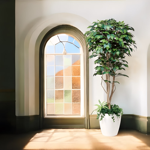 光触媒人工観葉植物フィカスベンジャミン（植栽付） 高さ1.8m