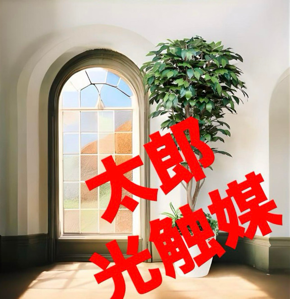 光触媒 人工観葉植物 フィカスベンジャミン（植栽付） 高さ1.8m その他 