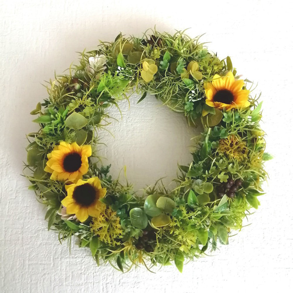 コロンとした穏やかな向日葵の夏リース(大) リース Allium blue  