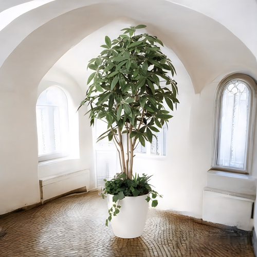 光触媒 人工観葉植物 フェイクグリーン パキラ（植栽付） 高さ 1.8m 