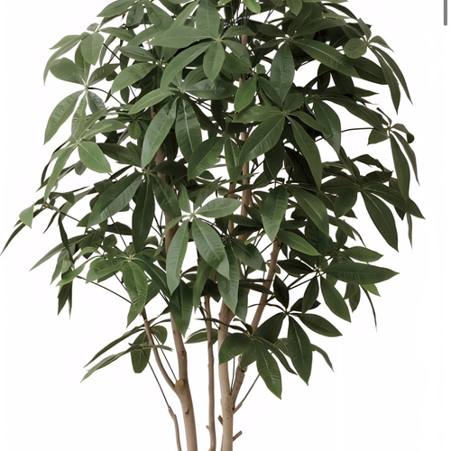 光触媒 人工観葉植物 フェイクグリーン パキラ（植栽付） 高さ 1.8m 