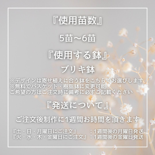 受注制作」あなただけのオリジナル寄せ植え ※完成品 鉢花 寄せ植え