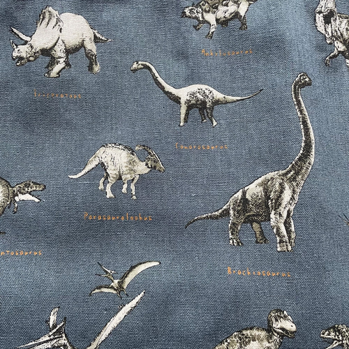 大きめサイズ選択可】恐竜柄☆入学・入園準備に！体操服入れ 男の子  