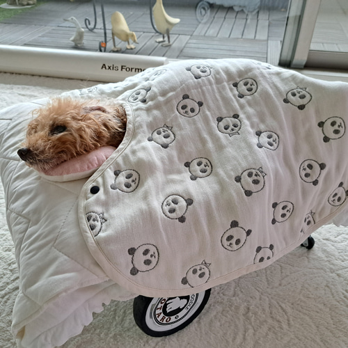 再販】♡ ふんわり 6重ガーゼケット ♡ リボン柄 シニア犬 老犬 車椅子 