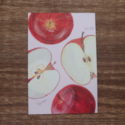 B.真っ赤な林檎【季節を感じるポストカード】 メッセージカード ハガキ