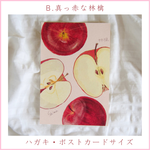 B.真っ赤な林檎【季節を感じるポストカード】 メッセージカード ハガキ