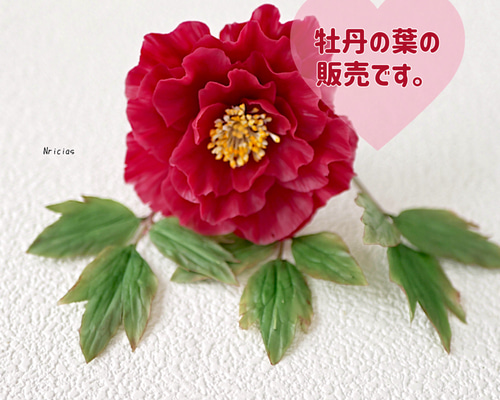 5008dd44f38668a130cd29015190e5