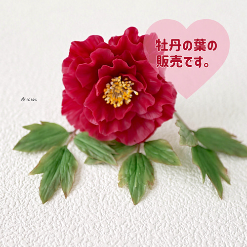 牡丹の葉 一本ずつ販売しています。 アートフラワー Nricias