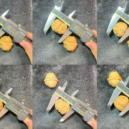 遊ぶ胡桃、「延慶ガマの頭」文玩核桃、クルミ核桃セット363727/29.2g