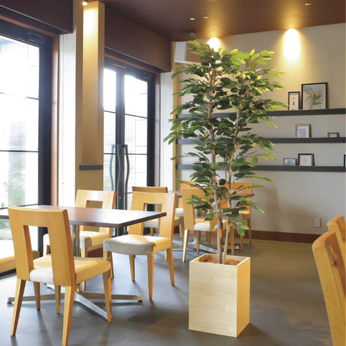 光触媒 人工観葉植物 フェイクグリーン ウッドボックスベンジャミン1.8