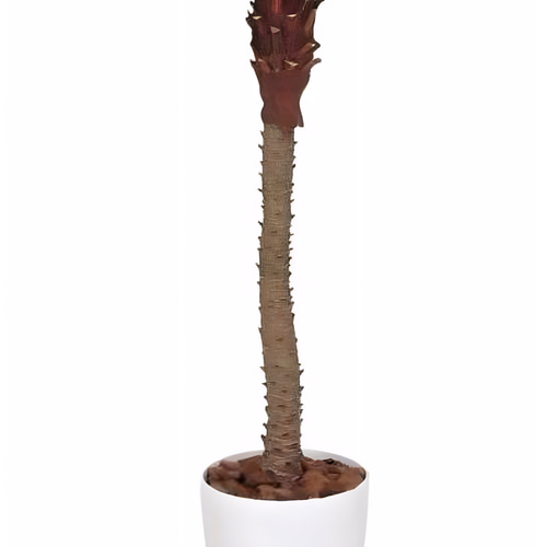 光触媒 観葉植物 ウォールグリーン フェイクグリーン フェニックス