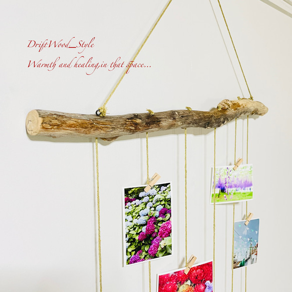 流木インテリア 壁一面に写真を飾れる大サイズのフォトディスプレイ 流木 写真ハンガー ウォールデコ 壁掛け N11 4枚目の画像