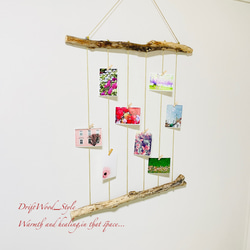 流木インテリア 壁一面に写真を飾れる大サイズのフォトディスプレイ 流木 写真ハンガー ウォールデコ 壁掛け N11 2枚目の画像