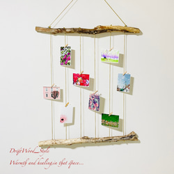 流木インテリア 壁一面に写真を飾れる大サイズのフォトディスプレイ 流木 写真ハンガー ウォールデコ 壁掛け N11 1枚目の画像