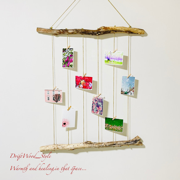 流木インテリア 壁一面に写真を飾れる大サイズのフォトディスプレイ 流木 写真ハンガー ウォールデコ 壁掛け N11 1枚目の画像