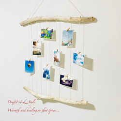流木インテリア 壁一面に写真を飾れる大サイズのフォトディスプレイ 流木 写真ハンガー ウォールデコ 壁掛け N12 3枚目の画像