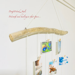 流木インテリア 壁一面に写真を飾れる大サイズのフォトディスプレイ 流木 写真ハンガー ウォールデコ 壁掛け N12 4枚目の画像