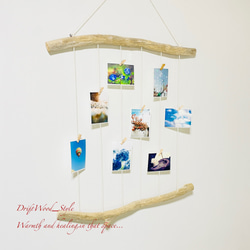 流木インテリア 壁一面に写真を飾れる大サイズのフォトディスプレイ 流木 写真ハンガー ウォールデコ 壁掛け N12 2枚目の画像