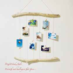 流木インテリア 壁一面に写真を飾れる大サイズのフォトディスプレイ 流木 写真ハンガー ウォールデコ 壁掛け N12 1枚目の画像