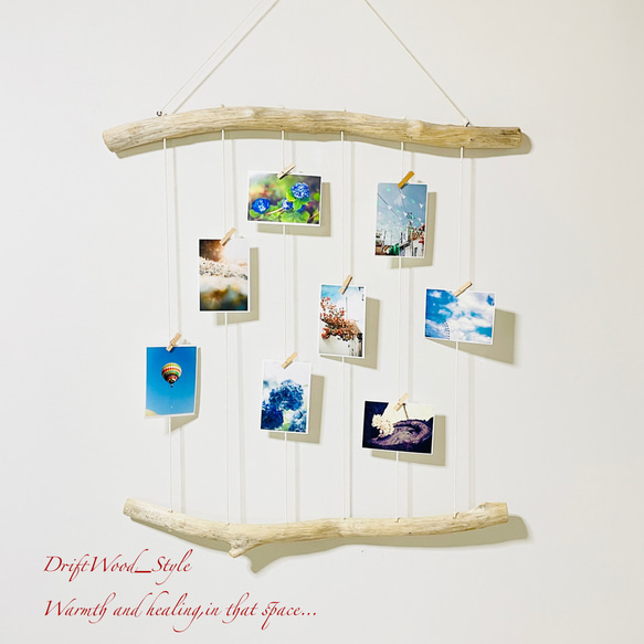 流木インテリア 壁一面に写真を飾れる大サイズのフォトディスプレイ 流木 写真ハンガー ウォールデコ 壁掛け N12 1枚目の画像