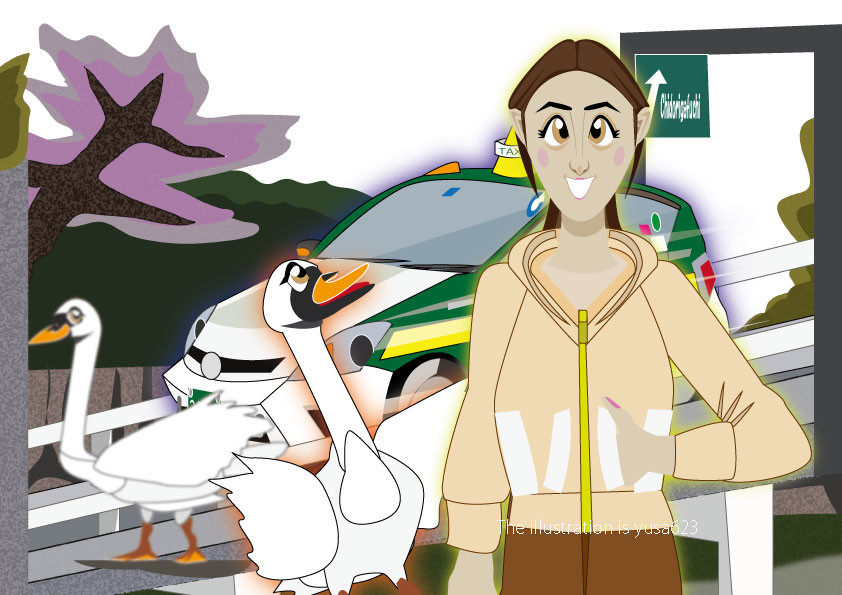 千鳥ヶ淵 (Chidorigafuchi)