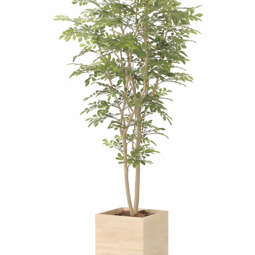 光触媒 人工観葉植物 フェイクグリーン ウッドボックストネリコ 