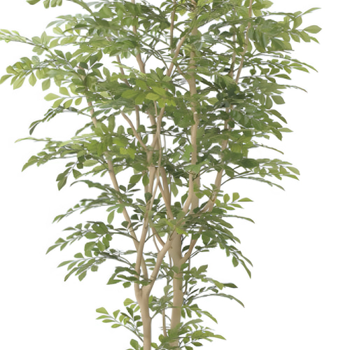 光触媒人工観葉植物フェイクグリーンウッドボックストネリコミックス1.8m