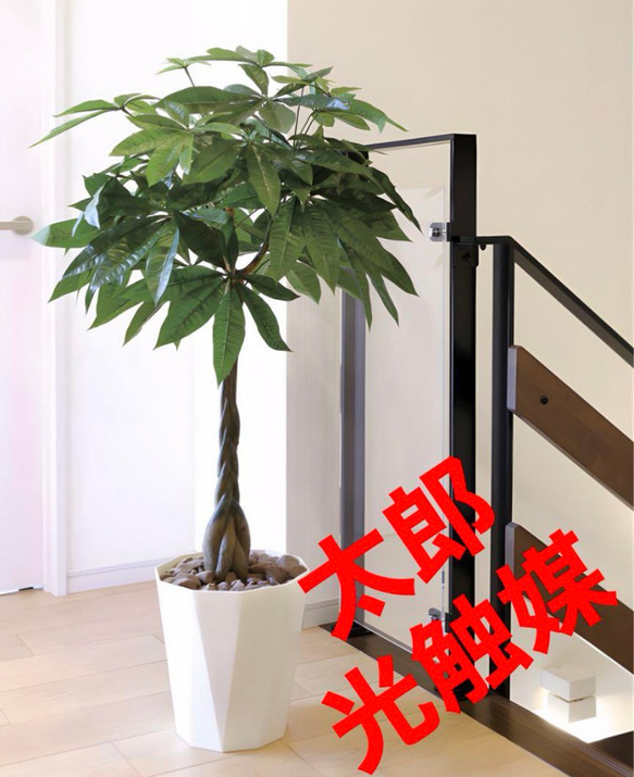 光触媒人工観葉植物ウォールグリーンフェイクグリーンゴムノ木1.25m