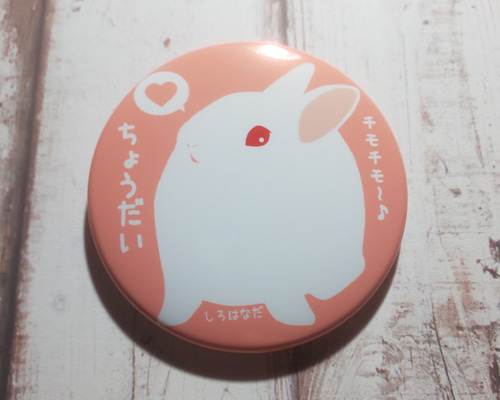 見上げるうさぎ 缶バッジ ブローチ しろはなだ 通販 18088999｜Creema