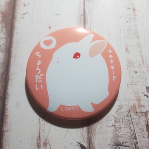 見上げるうさぎ 缶バッジ ブローチ しろはなだ 通販 18088999｜Creema