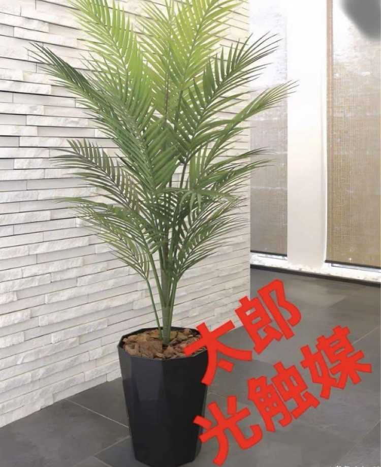 光触媒　人工観葉植物　ウォールグリーン　フェイクグリーン　パームツリー1.3m