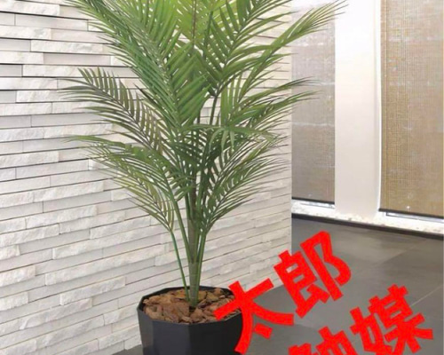 光触媒 人工観葉植物 ウォールグリーン フェイクグリーン パームツリー