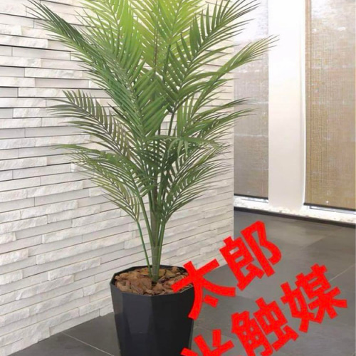 光触媒人工観葉植物ウォールグリーンフェイクグリーンパーム
