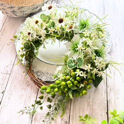 ◇ハーフリース◇ナチュラル◇プレゼント 7a89bf0dfaa432d5f0780c1fee29f3