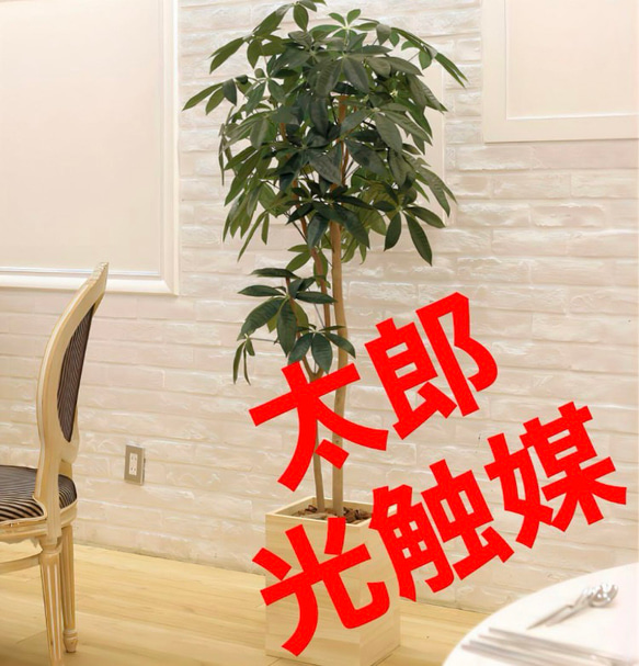 光触媒 人工観葉植物 フェイクグリーン ウッドボックスパキラ1.6m