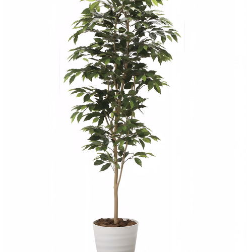 光触媒 人工観葉植物 フェイクグリーベンジャミン 高さ 1.8m その他 
