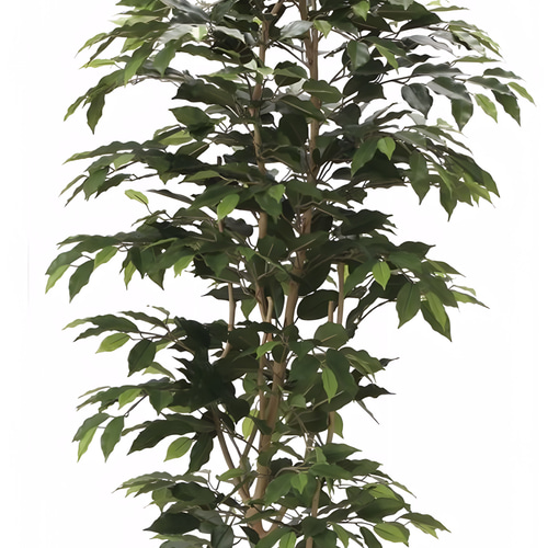 光触媒 人工観葉植物 フェイクグリーベンジャミン 高さ 1.8m その他 