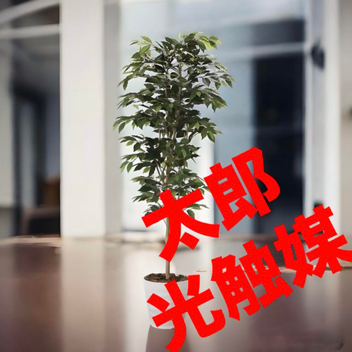 光触媒 人工観葉植物 フェイクグリーベンジャミン 高さ 1.8m その他 