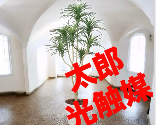 光触媒 人工観葉植物 ウォールグリーン フェイクグリーン ユッカ