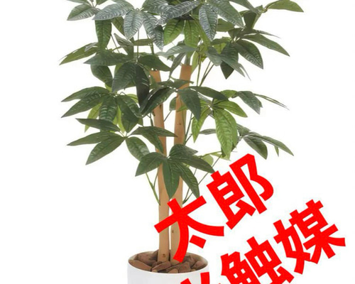光触媒　人工観葉植物　ウォールグリーン　フェイクグリーン　パキラ特大@gja 光触媒 人工観葉植物 ウォールグリーン フェイクグリーン パキラ90m