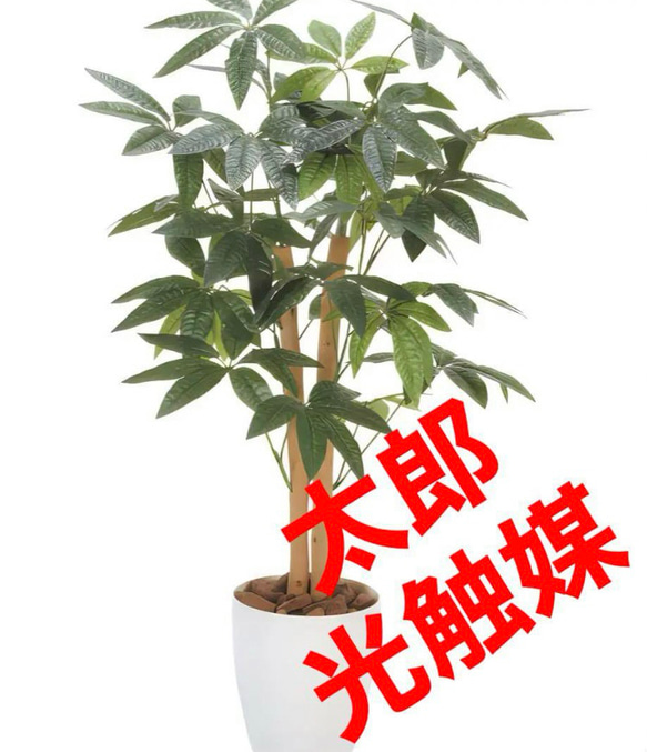 光触媒　人工観葉植物　ウォールグリーン　フェイクグリーン　パキラ90m 光触媒 人工観葉植物 ウォールグリーン フェイクグリーン パキラ90m