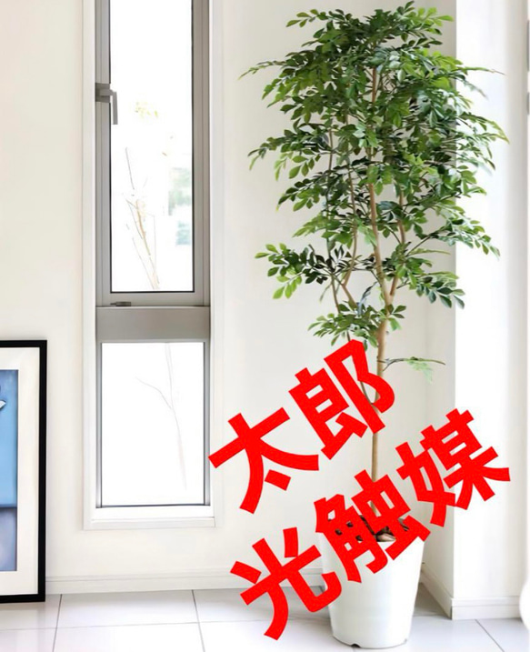 光触媒　人工観葉植物　ウォールグリーン　フェイクグリーン　ライトトネリコ1.8 光触媒 人工観葉植物 ウォールグリーン フェイクグリーン ライト