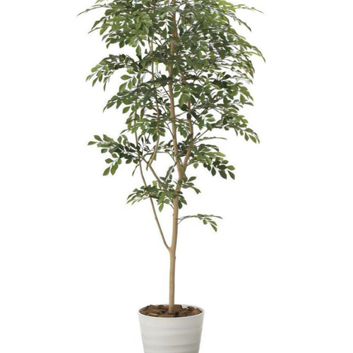 光触媒 人工観葉植物 ウォールグリーン フェイクグリーン トネリコ高さ