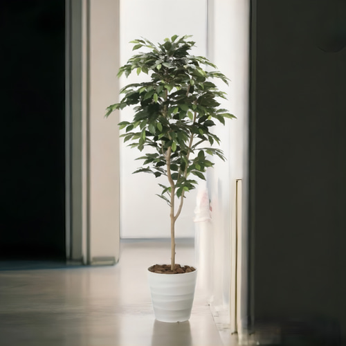 光触媒 人工観葉植物 フェイクグリーン ベンジャミン 高さ 1.6m その他  