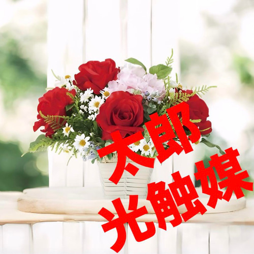 光触媒 人工観葉植物 ウォールグリーン フェイクグリーン フレンチ 