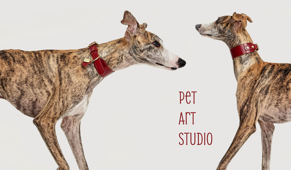 プレミアム・オーダーメイドレザー首輪 for 中型犬、大型犬 