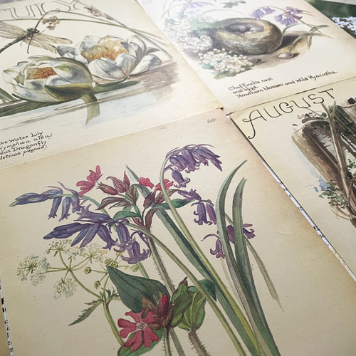 棚付き 海外紙もの ヴィンテージセット アンティーク まとめ売り 棚付き 海外紙もの ヴィンテージセット アンティーク まとめ売り