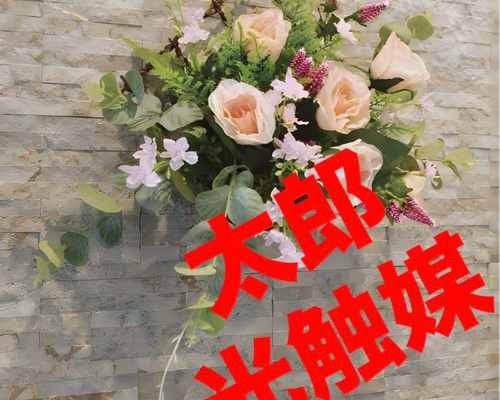 光触媒 人工観葉植物 ウォールグリーン フェイクグリーン 壁掛けカリナ
